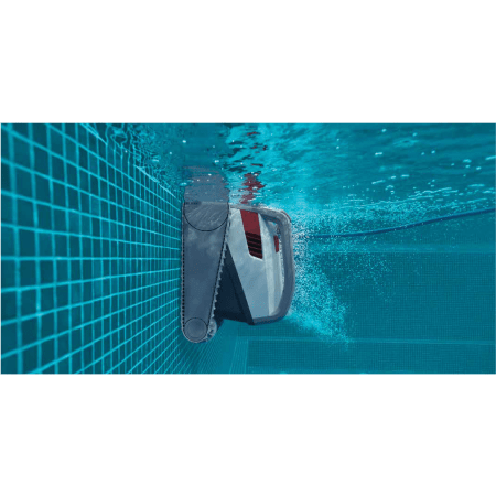 Dolphin Active X6
