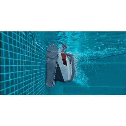 Dolphin Active X6
